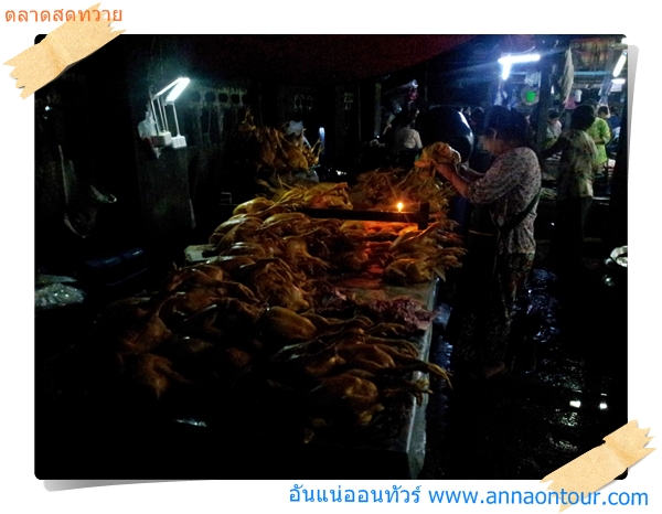 ขายไก่บ้านทั้งแถวยาวในตลาดสดทวาย