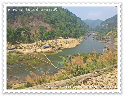 มีแพไม้ไผ่เป็นช่วง ๆ ในแม่น้ำตะนาวศรี