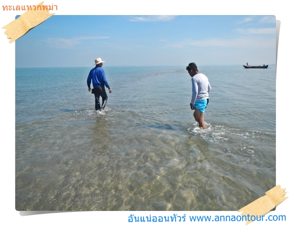 เดินเล่นบนทะเลแหวก