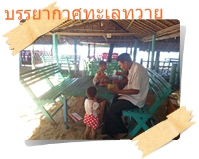 เจ้าของร้านอาหารริมทะเลหาดมอมะกัน