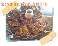 ของทะเลทอดราคาถูก ๆ หากินได้ในทวาย