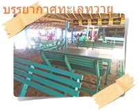 ที่นั่งในร้านอาหารริมทะเล