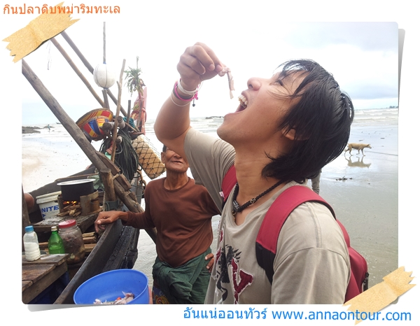 กำลังจะกินปลาดิบพม่าริมทะเลแบบสดสดกันเลย