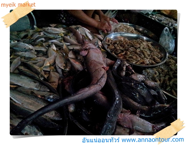 สินค้าจากทะเลมีไม่มากในตลาดเช้าเมืองมะริด