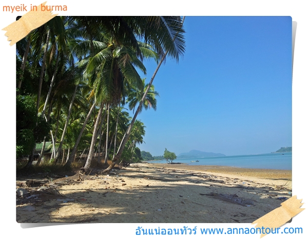 ริมทะเลเกาะกะลา beach on the kala island