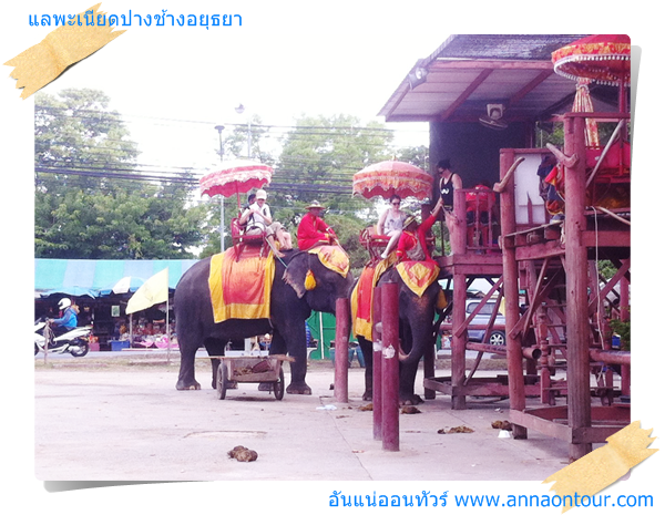 ปางช้างอยุธยา