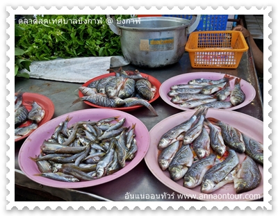 ร้านขายปลา ที่นำมาขายในตลาดสดบึงกาฬ	