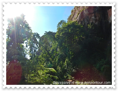 ธรรมชาติบริเวณภูสิงห์