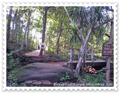 ธรรมชาติในระหว่างทางขึ้นภูทอก