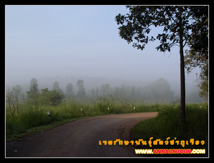 เส้นทางในเขตรักษาพันธุ์สัตว์ป่าภูเขียว