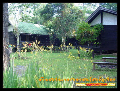 บ้านพักในเขตรักษาพันธุ์สัตว์ป่าภูเขียว