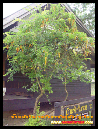 บ้านพักในเขตรักษาพันธุ์สัตว์ป่าภูเขียว