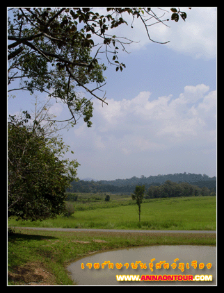 ธรรมชาติเขตรักษาพันธุ์สัตว์ป่าภูเขียว