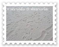 ทรายขาว ๆ ริมหาดนาเกลือ