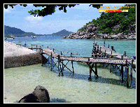 ท่าเทียบเรือเกาะเต่า