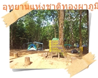 ธรรมชาติในอุทยานแห่งชาติทองผาภูมิ