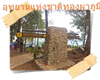 ลานกางเต๊นท์อุทยานแห่งชาติทองผาภูมิ