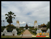 ด้านหลังรูปปั้นสิงห์คู่