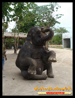 ช้างน้อย