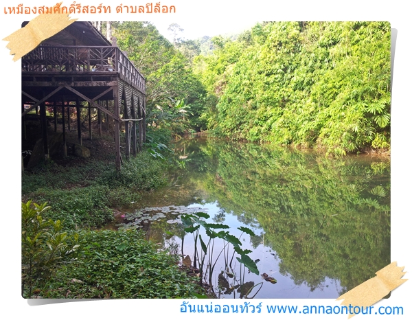 ธรรมชาติในเหมืองสมศักดิ์รีสอร์ท
