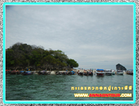เรือสปีดโบ๊ทพานักท่องเที่ยวมาชมทะเลแหวก
