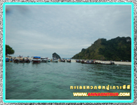 เรือสปีดโบ๊ทจอดรถนักท่องเที่ยว