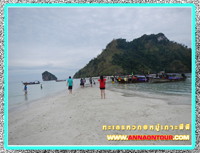 เดินเล่นบนทะเลแหวก