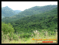 ธรรมชาติบริเวณเขื่อนคลองท่าด่าน