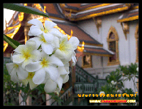 พระราชวังสนามจันทร์