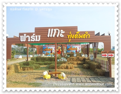 ที่เลี้ยงแกะทุ่งดินดำรีสอร์ท