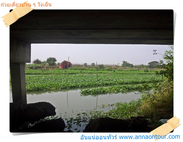 โต๊ะร้านก๋วยเตี๋ยวธรรมชาติมากติดคลองวังเย็น