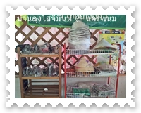 หมวกของคนเวียดนาม