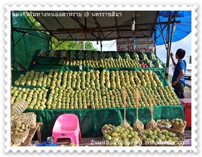 ร้านของฝากริมทางหนองสาหร่าย