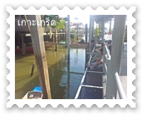 ท่าเรือไปเกาะเกร็ด