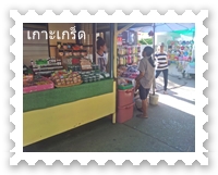 ร้านค้าในเกาะเกร็ด