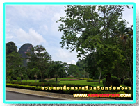 สวนสมเด็จพระศรีนครินทร์พังงา