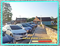 ลานจอดรถ swiss sheep farm ชะอำ