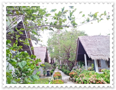 tassana beach and camp ground