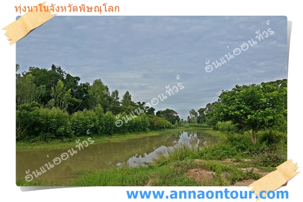 ธรรมชาติ และสายน้ำใน จังหวัดพิษณุโลก