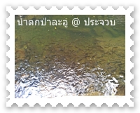 ปลาพวงในน้ำตกป่าละอู ชั้นที่ 3