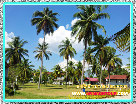 บรรยากาศภายในร้านอาหารครัวป้ามา