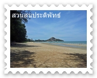 วิวสวย ๆ ริมทะเลสวนสนประดิพัทธ์