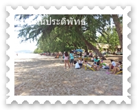 แนวสนให้นักท่องเที่ยวได้พักผ่อน