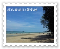 วิวสวนสนประดิพัทธ์