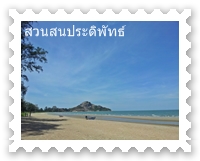 ฟ้าใส ๆ ที่สวนสนประดิพัทธ์