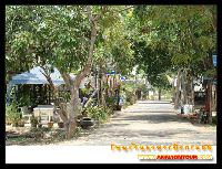 ร้านอาหารติดริมบึงกระจับ