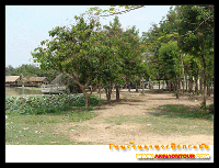 บริเวณริมบึงกระจับ