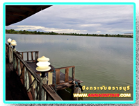 หนองน้ำหน้าร้านอาหารริมบึงกระจับ