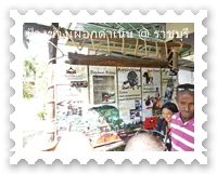 ปางช้างเผือกดำเนิน