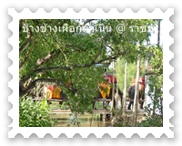 นักท่องเที่ยวนั่งช้าง